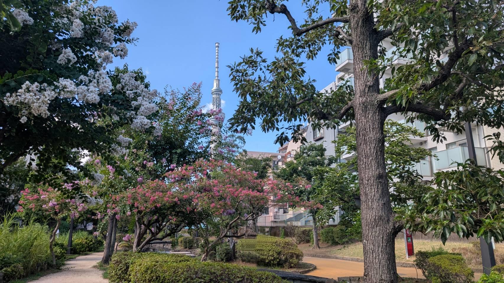 東京都喜楽会