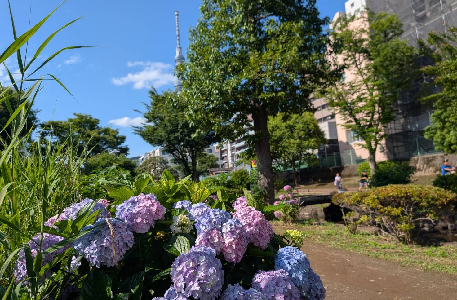 東京都喜楽会